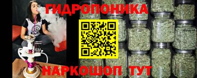 стаф Бугуруслан