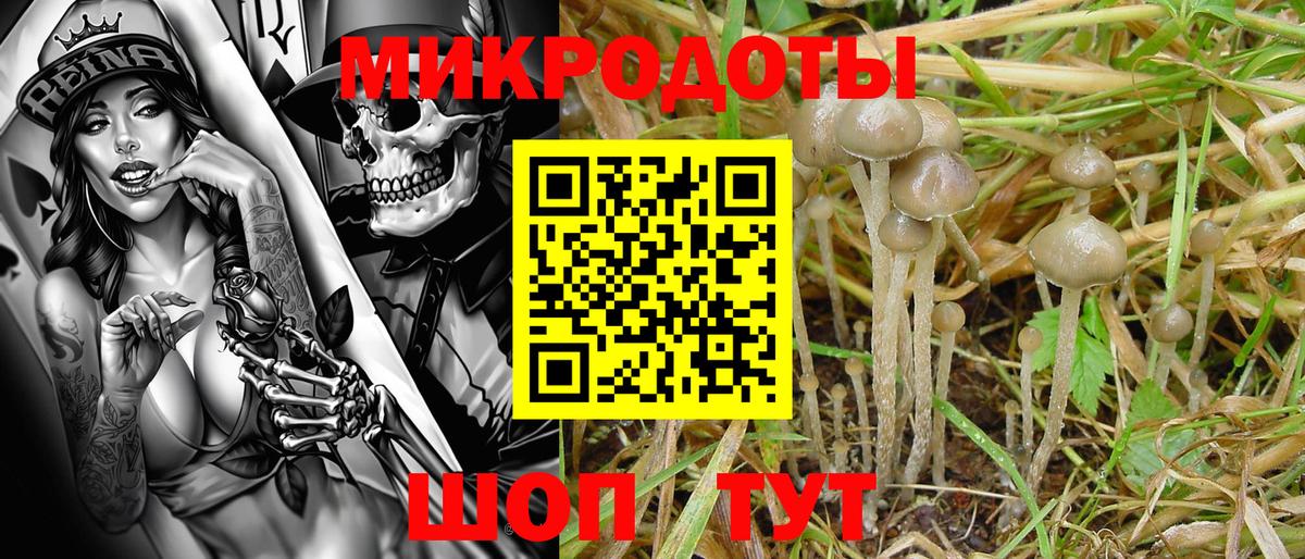 Усть-Кут  Псилоцибиновые грибы ЛСД  Вход с VPN 